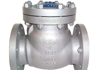 Steel Check Valves